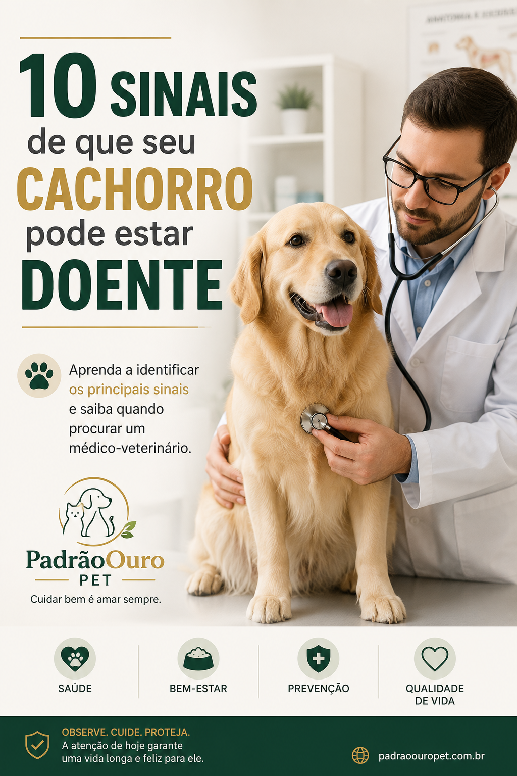 Conheça 10 sinais de que seu cachorro pode estar doente e saiba quando é hora de procurar um médico-veterinário.