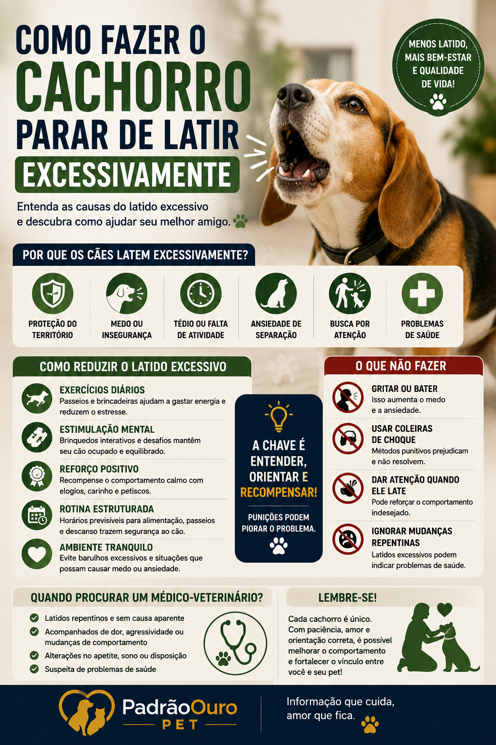 Descubra por que seu cachorro late tanto, conheça as principais causas do latido excessivo e aprenda como reduzir esse comportamento de forma segura e eficaz.