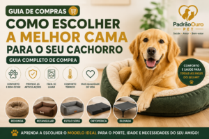 Aprenda como escolher a cama ideal para o seu cachorro de acordo com o porte, idade e necessidades. Veja os principais tipos e saiba qual é o mais indicado.