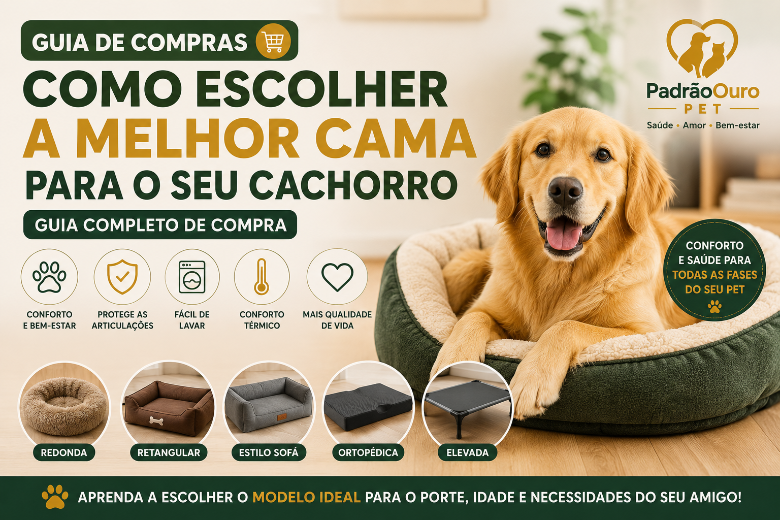 Aprenda como escolher a cama ideal para o seu cachorro de acordo com o porte, idade e necessidades. Veja os principais tipos e saiba qual é o mais indicado.