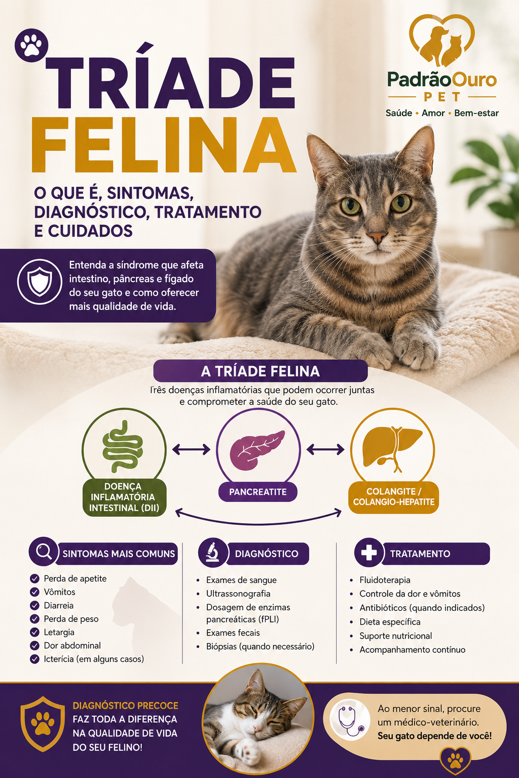 Saiba o que é a Tríade Felina, quais são os sintomas, como é feito o diagnóstico, o tratamento e os cuidados para melhorar a qualidade de vida do seu gato.