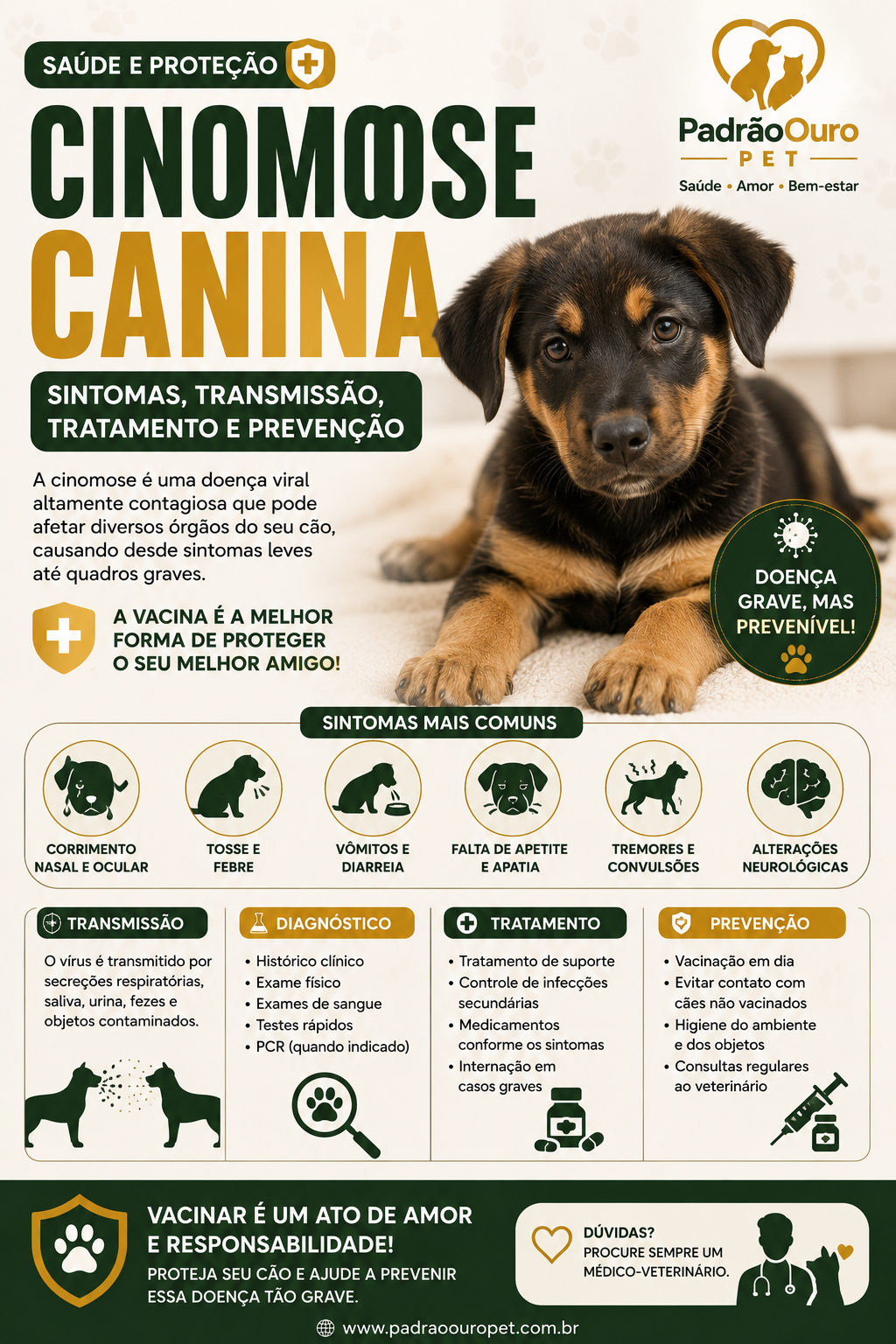 Conheça os sintomas da cinomose canina, como ocorre a transmissão, quais são as opções de tratamento e a importância da vacinação para prevenir essa doença.