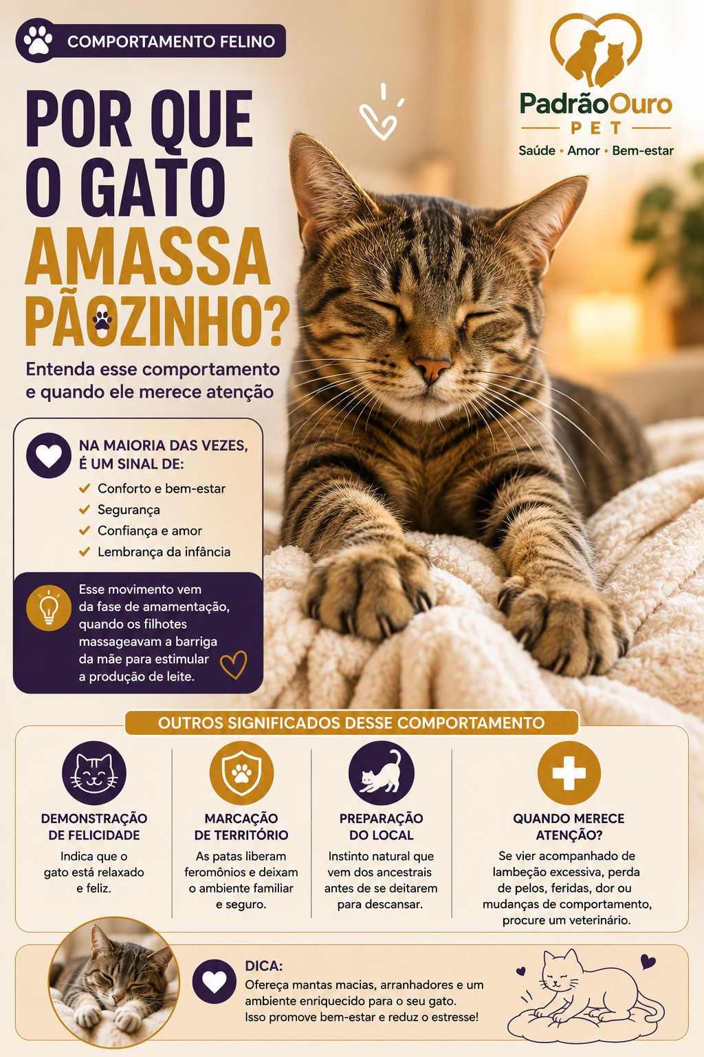 Descubra por que os gatos amassam cobertas, almofadas e seus tutores. Entenda o significado desse comportamento e quando ele pode indicar algum problema.