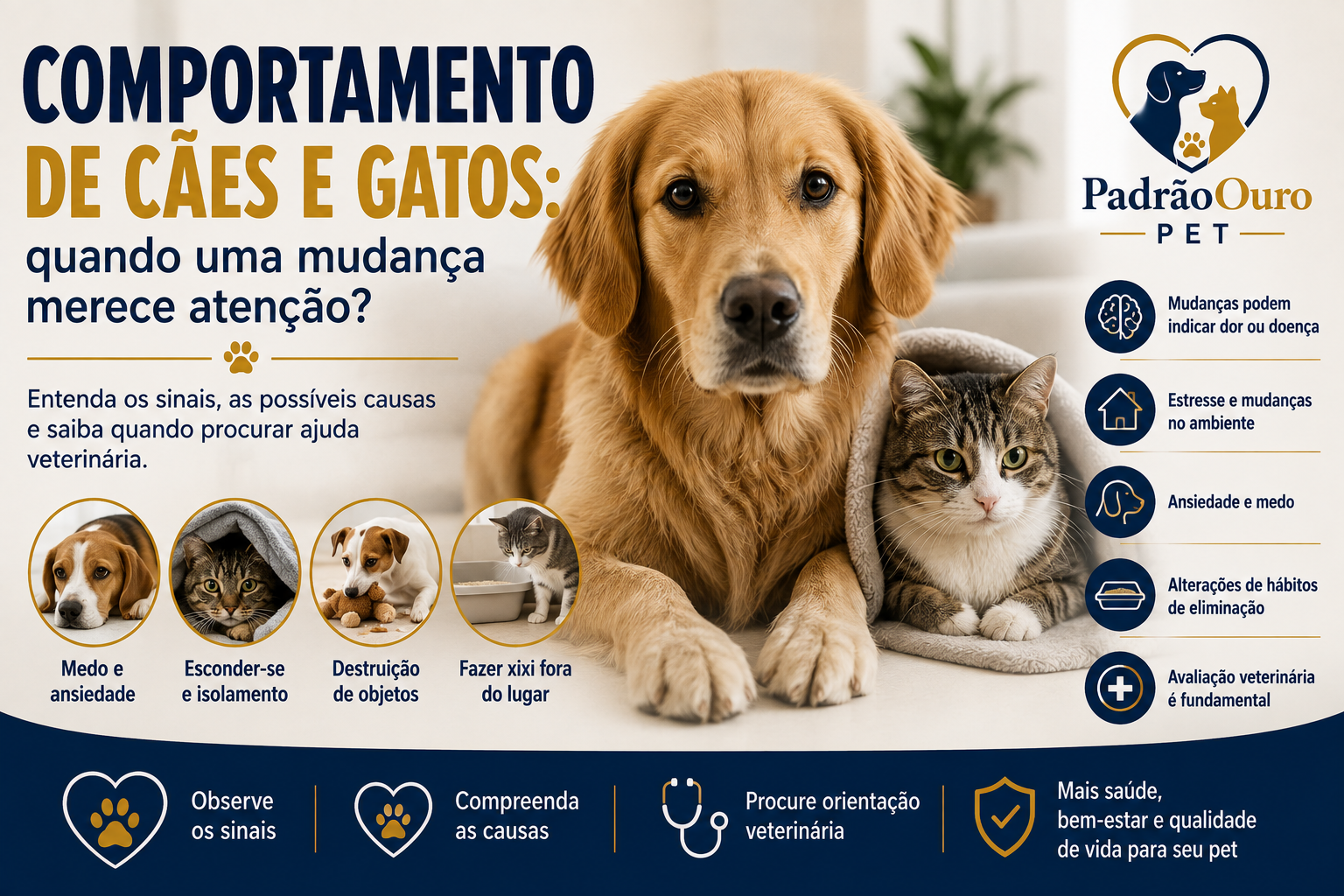 Mudanças no comportamento de cães e gatos podem indicar estresse, ansiedade, dor ou doença. Saiba quais sinais merecem atenção veterinária.