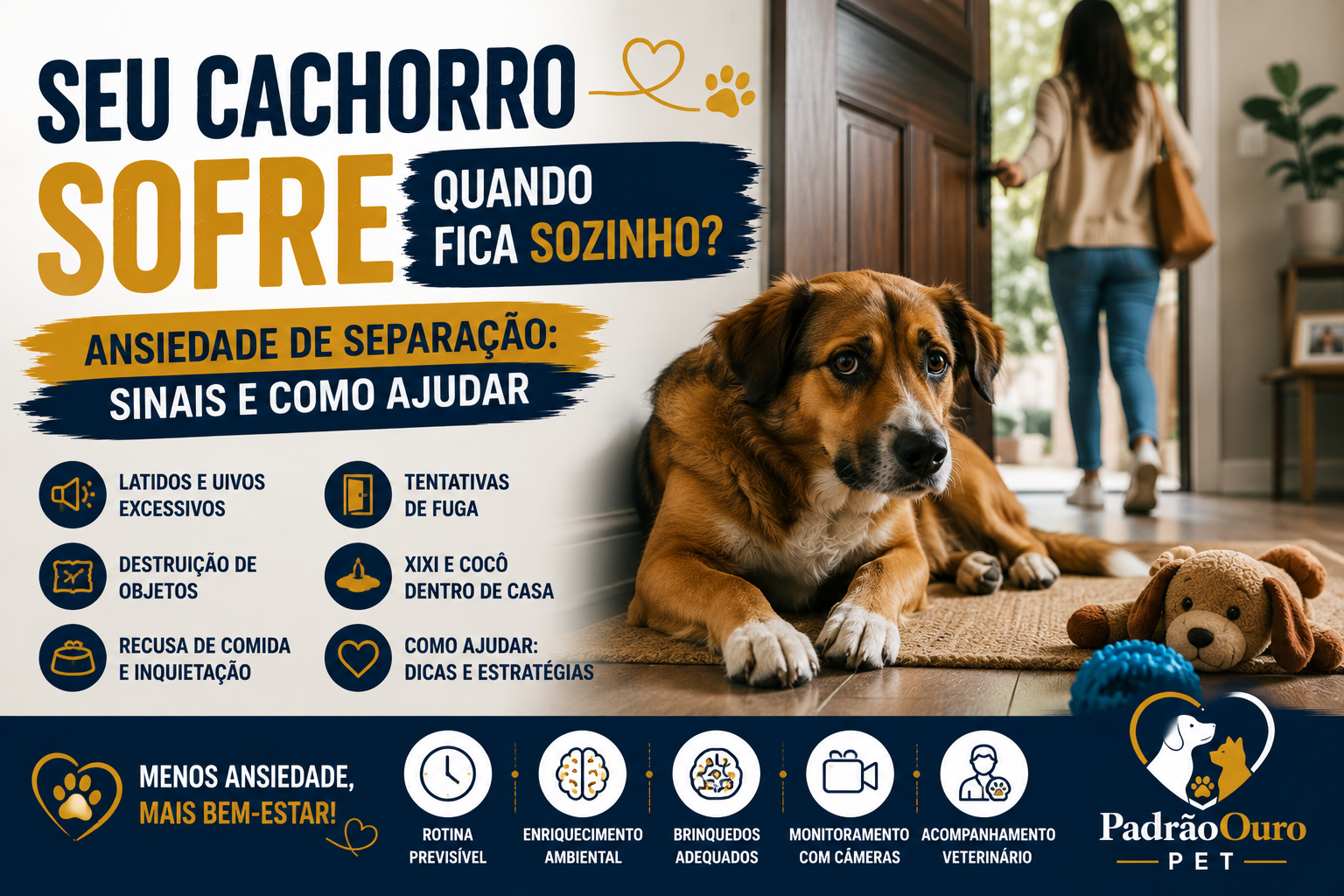 Seu cachorro sofre quando fica sozinho? Saiba identificar os sinais de ansiedade de separação e veja estratégias seguras para ajudar seu pet.