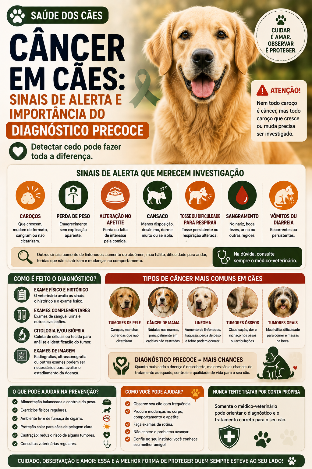 Conheça os principais sinais de câncer em cães, quando procurar o veterinário, como é feito o diagnóstico e por que descobrir a doença cedo pode fazer diferença.