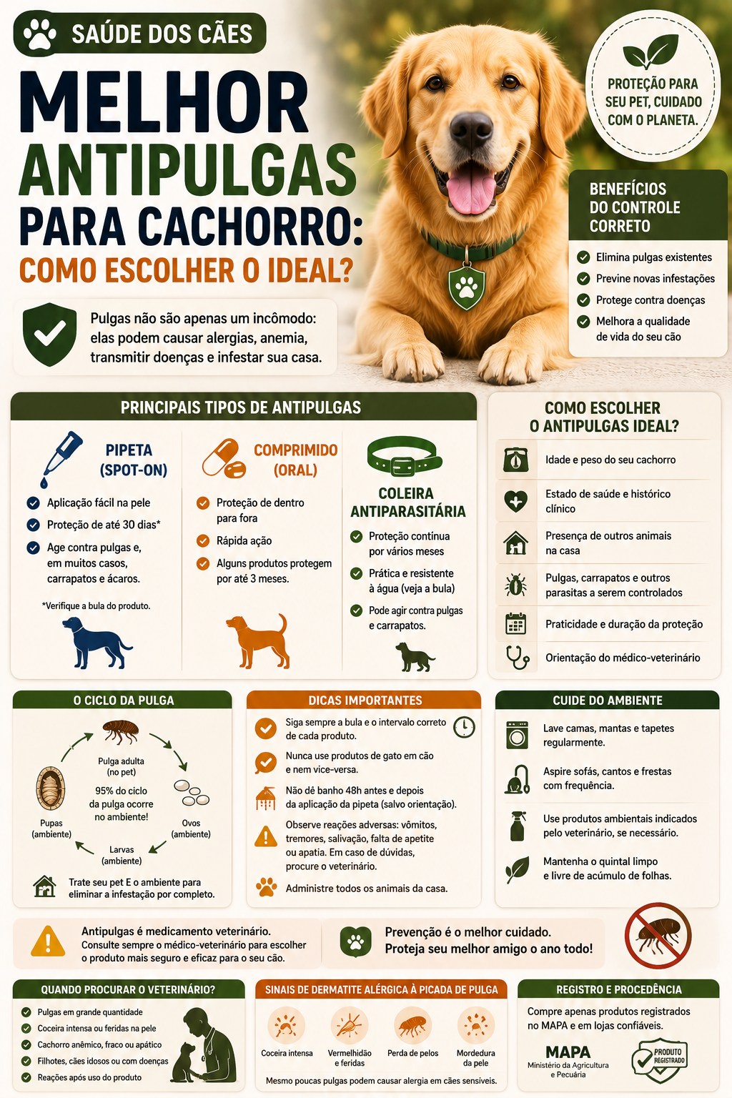 Qual o melhor antipulgas para cachorro? Veja as diferenças entre comprimidos, pipetas e coleiras e saiba como escolher uma proteção adequada e segura.