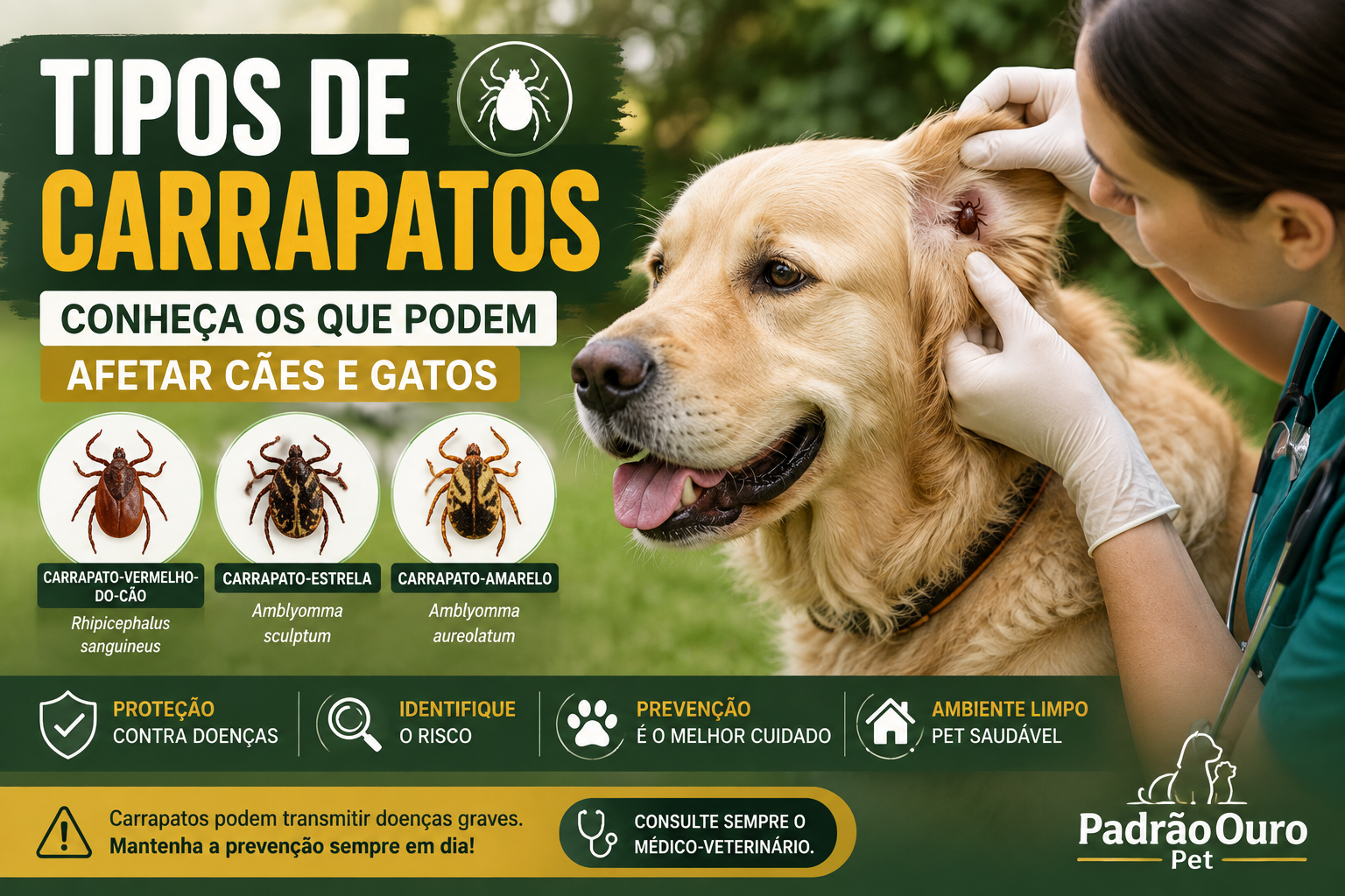 Conheça os principais tipos de carrapatos que podem afetar cães e gatos, as doenças associadas a esses parasitas e como proteger seu pet e sua família.