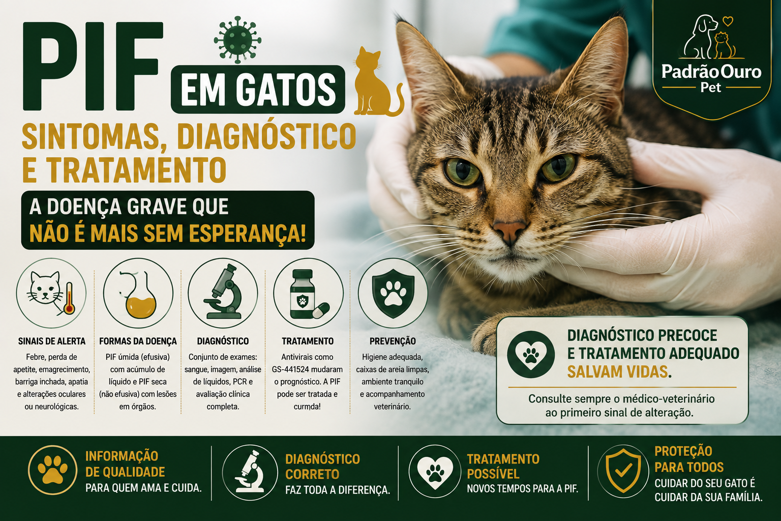 Entenda o que é PIF em gatos, conheça os principais sintomas, formas seca e úmida, como é feito o diagnóstico e quais tratamentos antivirais existem atualmente.