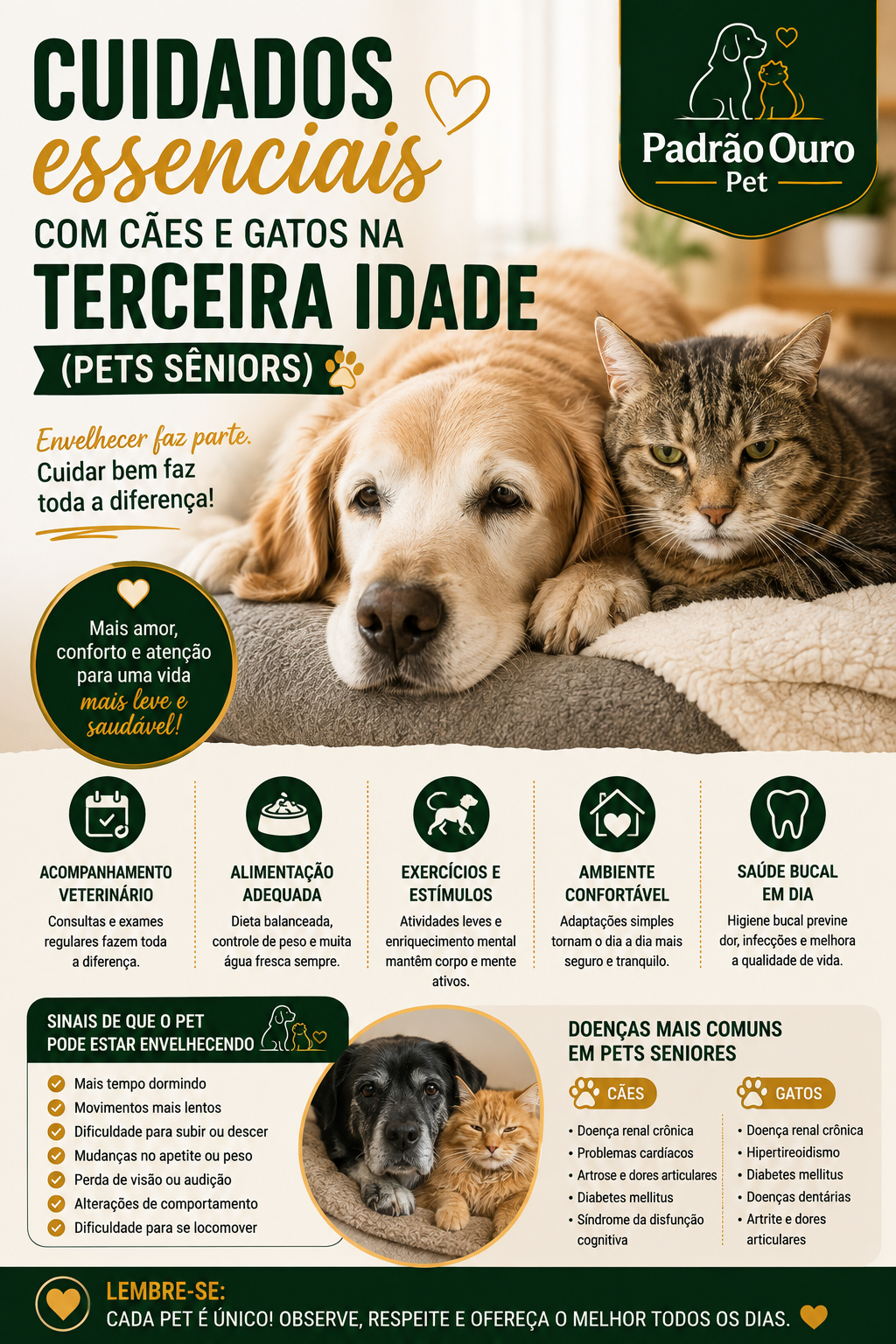 Cães e gatos idosos precisam de cuidados especiais. Veja como adaptar alimentação, exercícios, ambiente e acompanhamento veterinário para pets seniores.