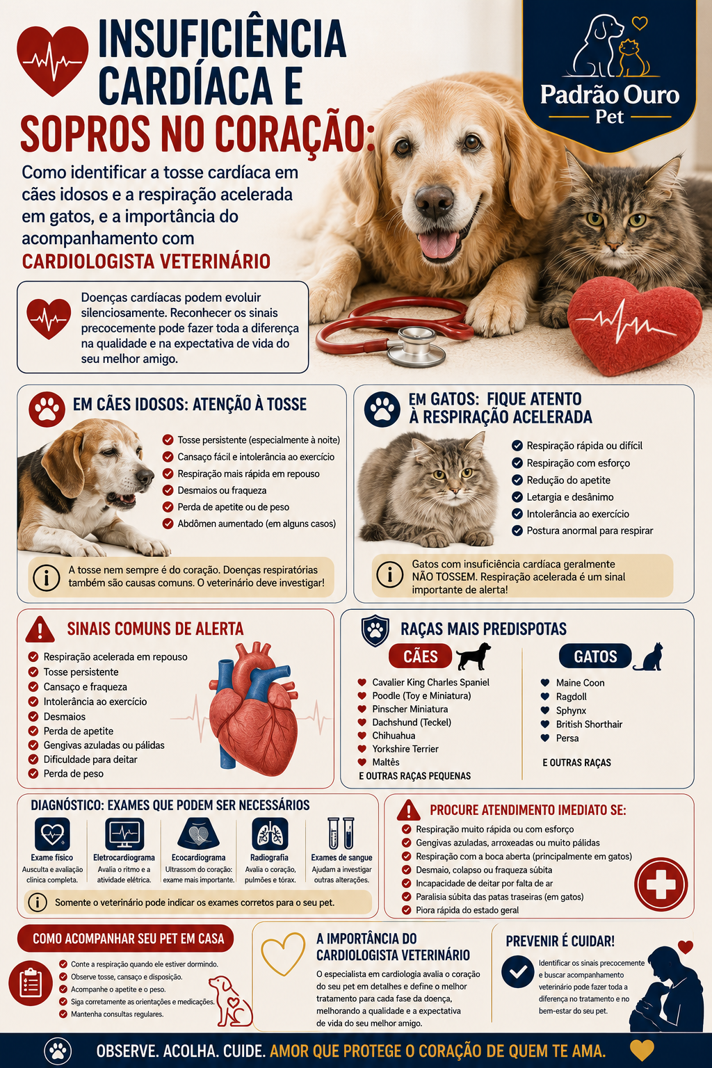 Saiba reconhecer sinais de doença cardíaca em cães e gatos, como tosse, respiração acelerada e intolerância ao exercício, e entenda quando procurar um cardiologista veterinário.