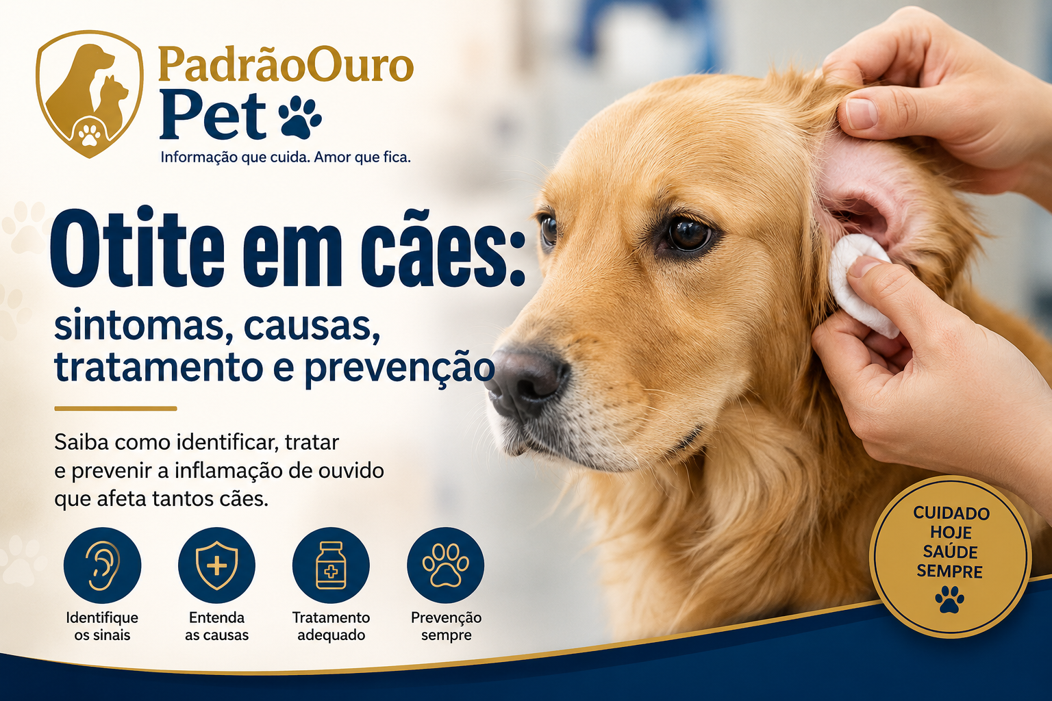 Descubra os sintomas da otite em cães, principais causas, formas de tratamento e como prevenir problemas de ouvido no seu pet.