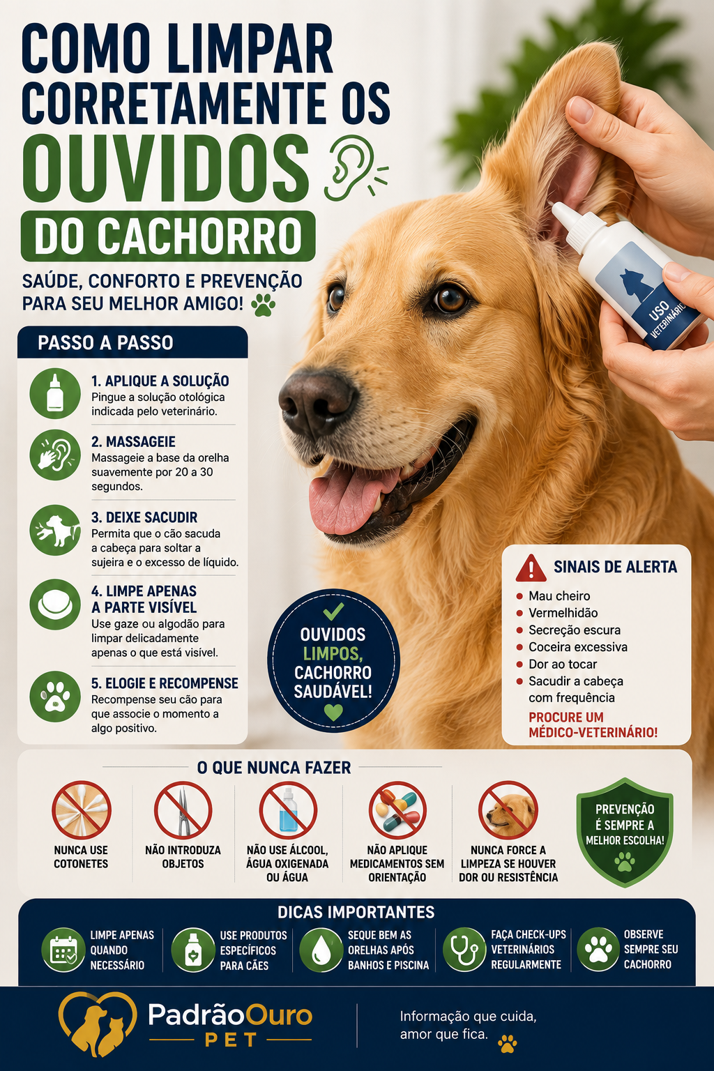 Aprenda como limpar corretamente os ouvidos do cachorro, saiba quais produtos utilizar, o que evitar e quando procurar um médico-veterinário.